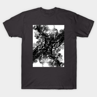 Oak Fractals T-Shirt